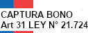 Captura Bono Art 31 Ley 21.724.
