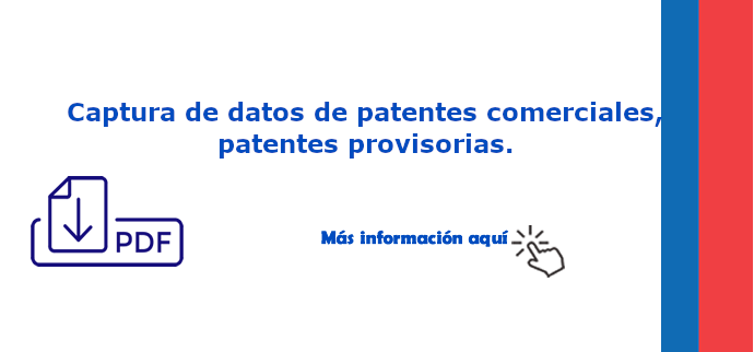 CAPTURA PATENTES PROVISORIAS